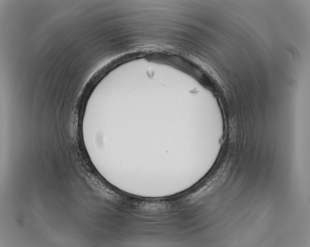 X0000110671021200907101102