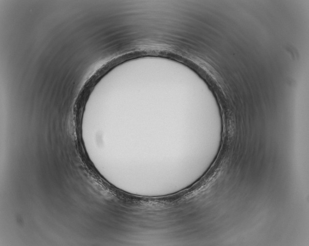 X0000110671022200907101102