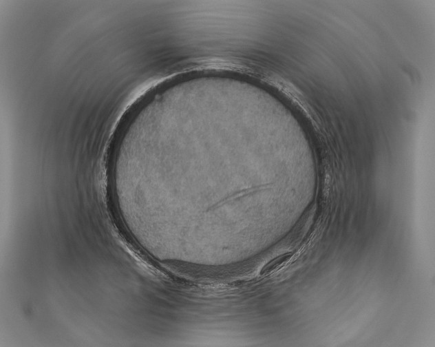 X0000110671024200907101102