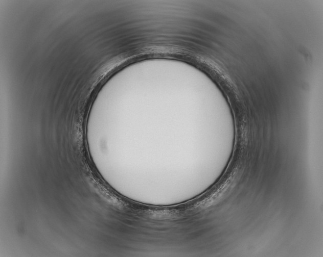 X0000110671025200907101102