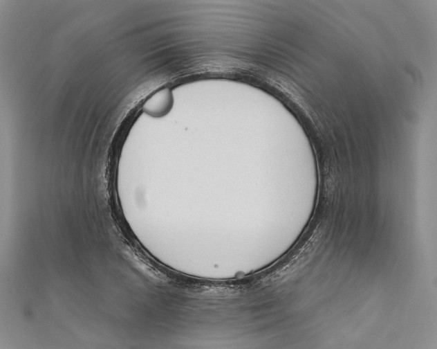 X0000110671026200907101102