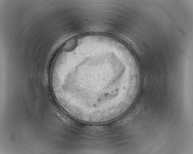 X0000110671027200907101102