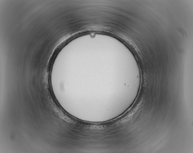X0000110671029200907101102