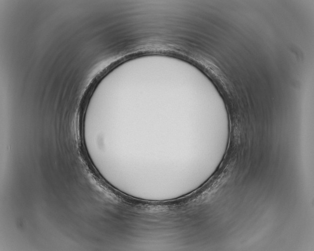 X0000110671030200907101102