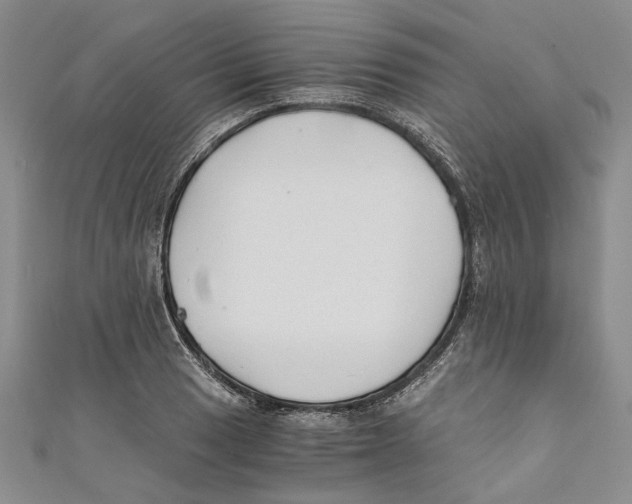 X0000110671033200907101102
