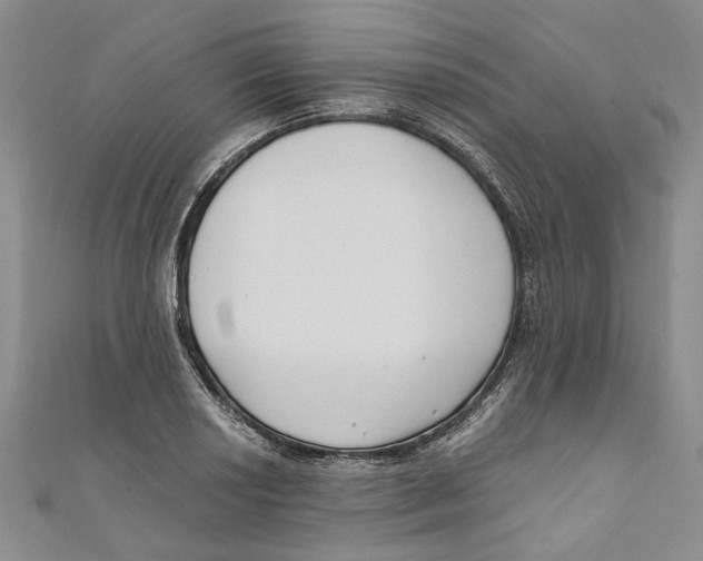 X0000110671034200907101102