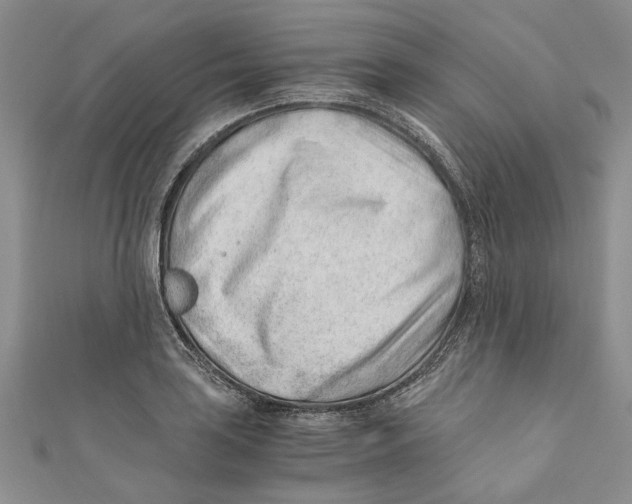 X0000110671035200907101102