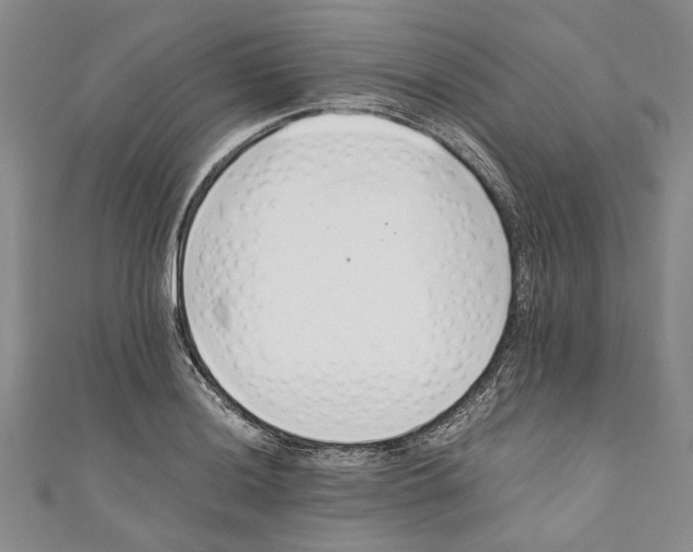 X0000110671036200907101102