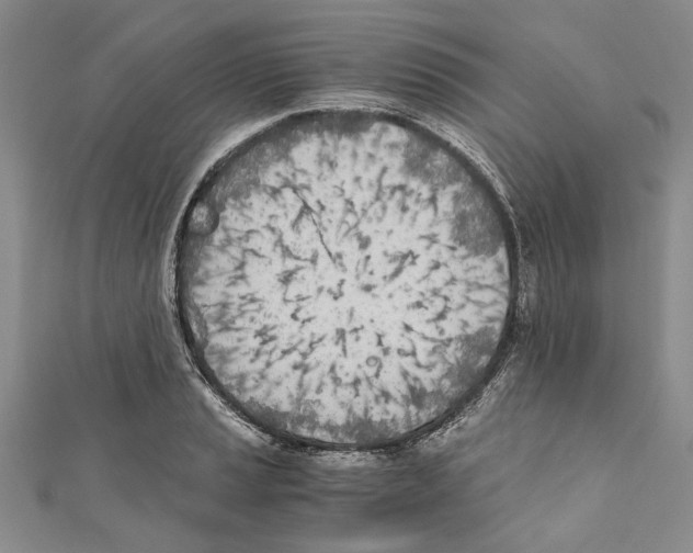 X0000110671037200907101102