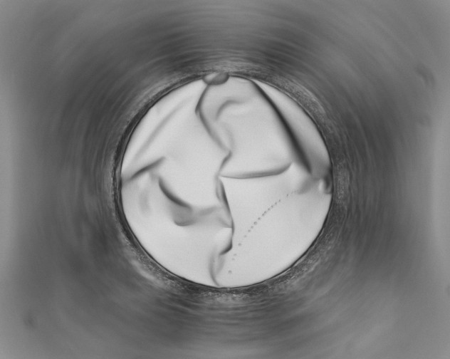 X0000110671039200907101102