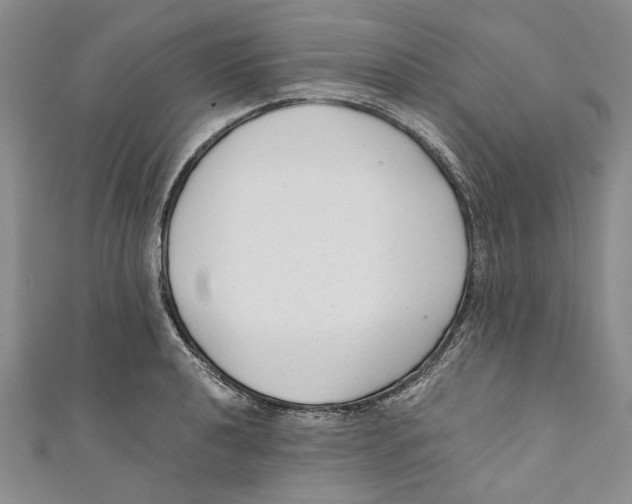 X0000110671040200907101102