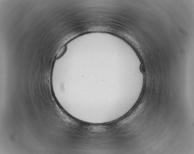 X0000110671041200907101102