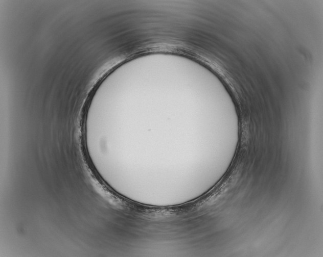 X0000110671042200907101102