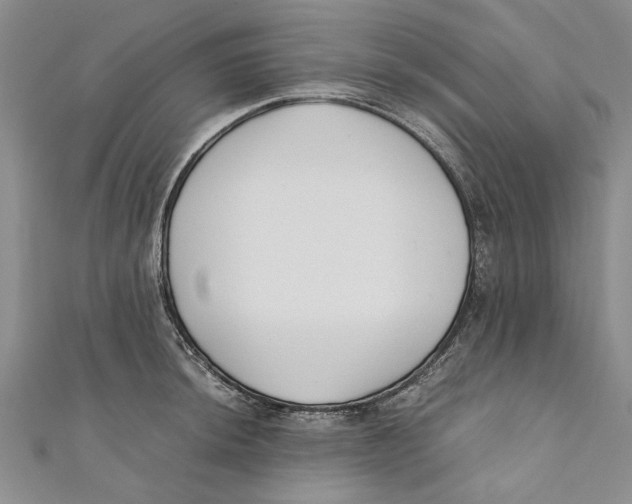 X0000110671044200907101102