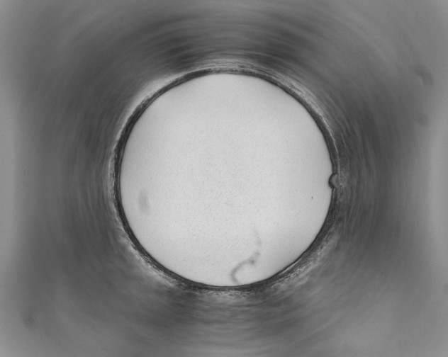 X0000110671045200907101102