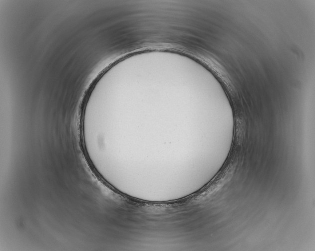 X0000110671046200907101102