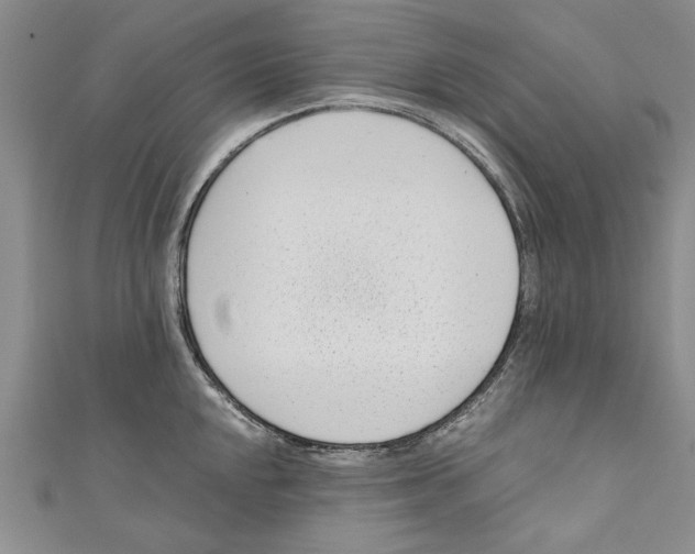 X0000110671048200907101102
