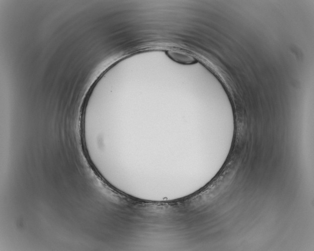 X0000110671050200907101102