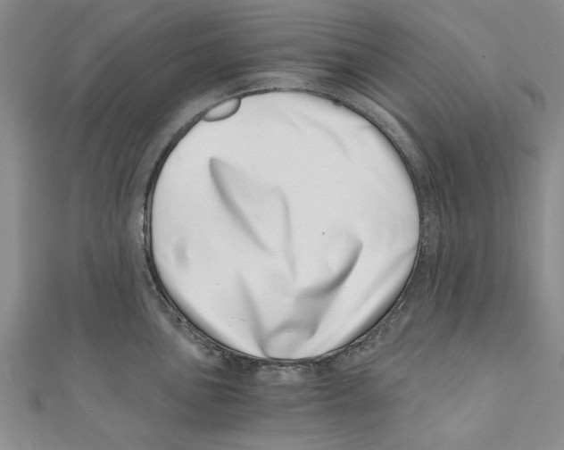 X0000110671051200907101102