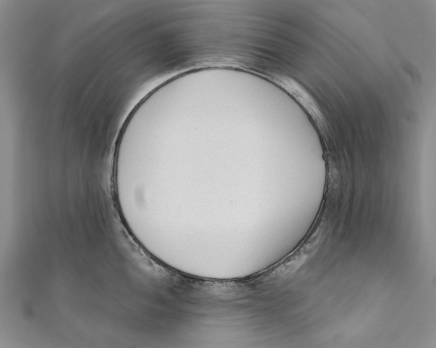 X0000110671052200907101102