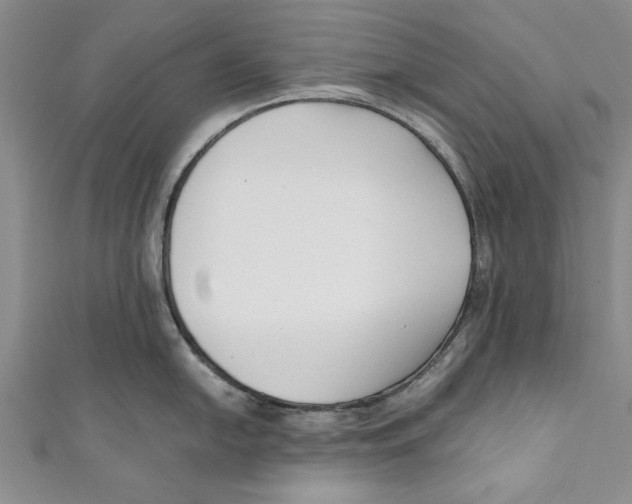X0000110671054200907101102