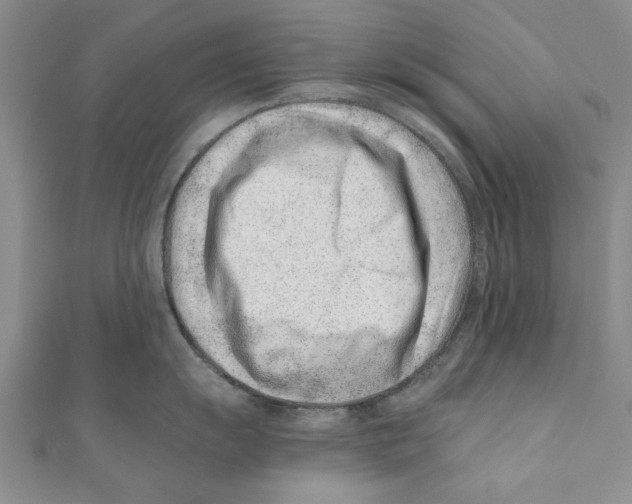 X0000110671055200907101102