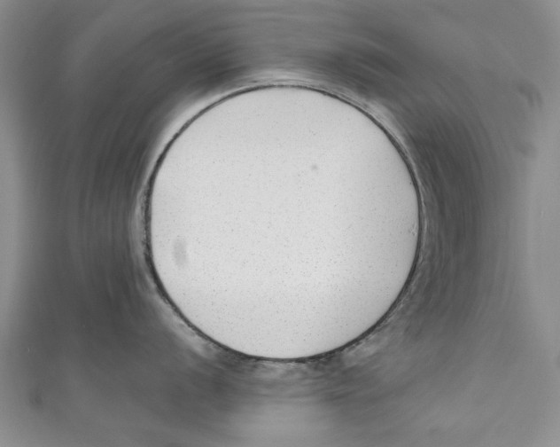 X0000110671056200907101102