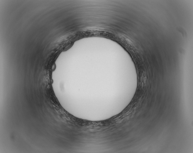 X0000110671062200907101101