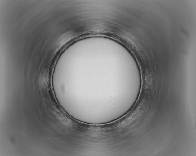 X0000110671065200907101101