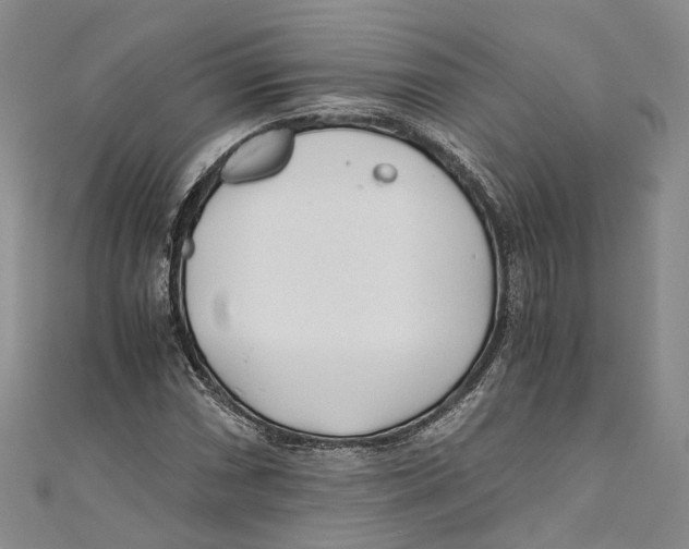 X0000110671066200907101101