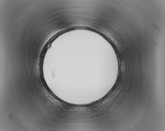 X0000110671068200907101101