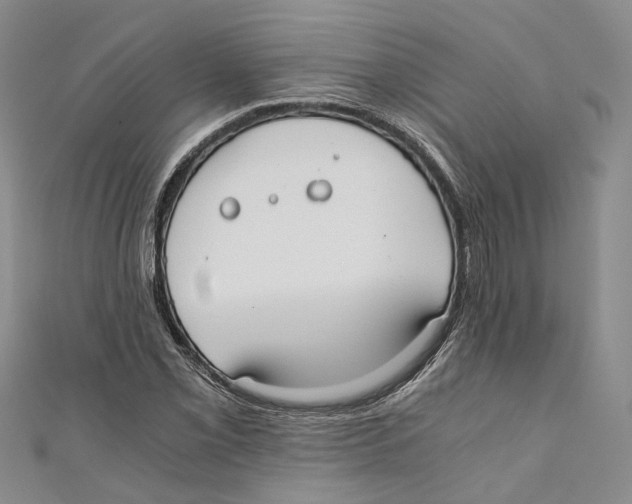 X0000110671069200907101101