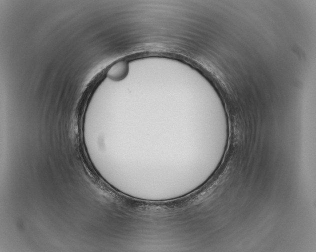 X0000110671070200907101101