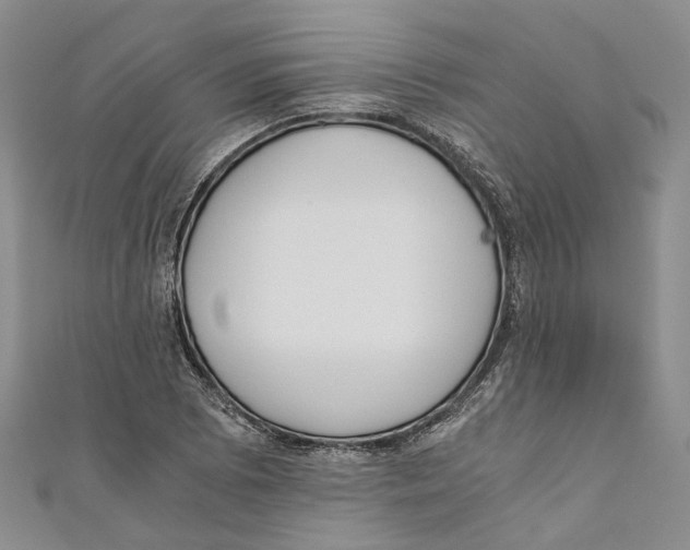 X0000110671073200907101101