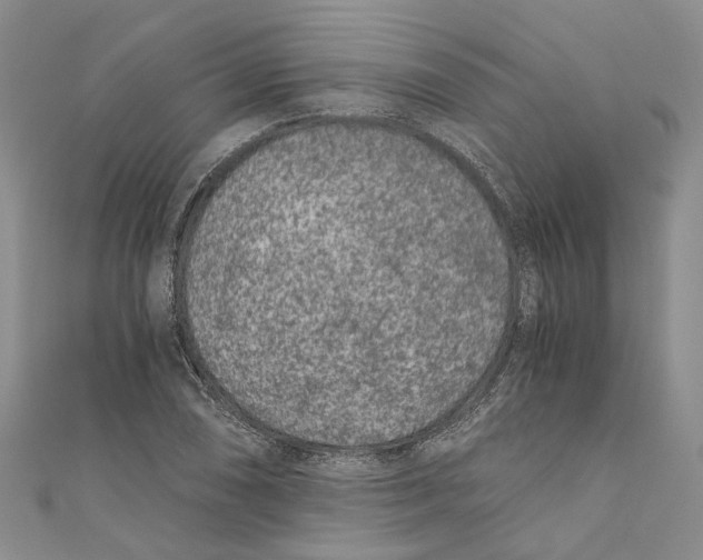 X0000110671074200907101101