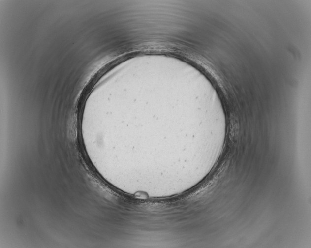 X0000110671075200907101101
