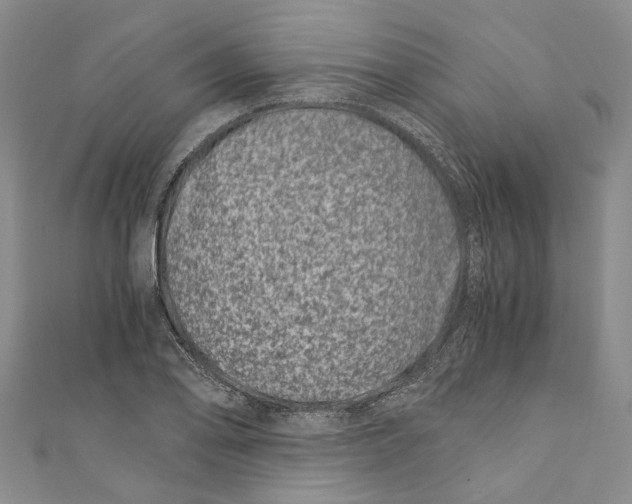 X0000110671078200907101101