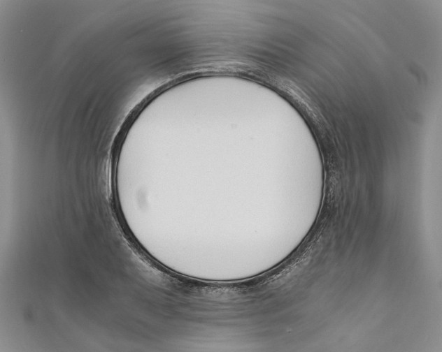 X0000110671079200907101101