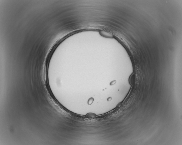 X0000110671080200907101101