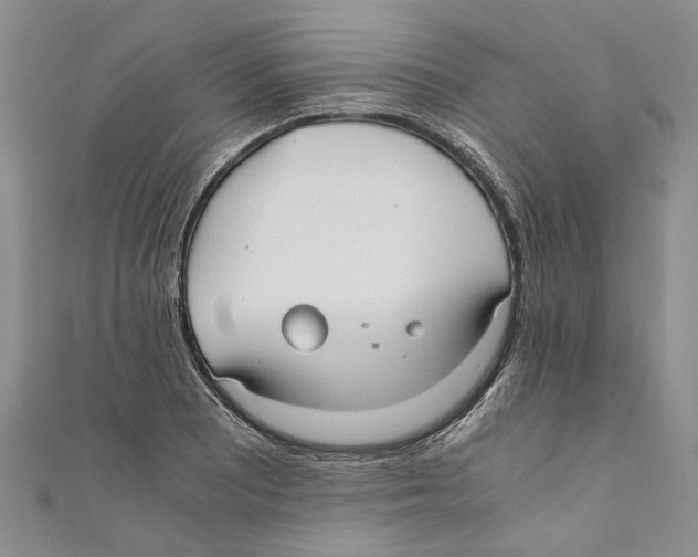 X0000110671081200907101101