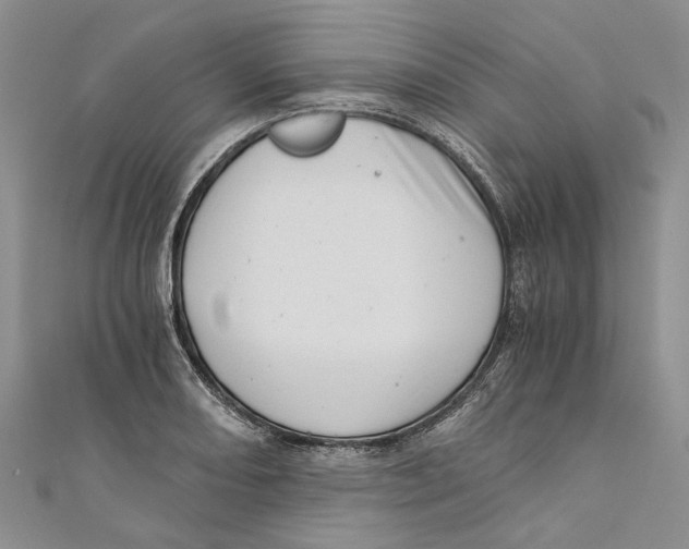 X0000110671082200907101101