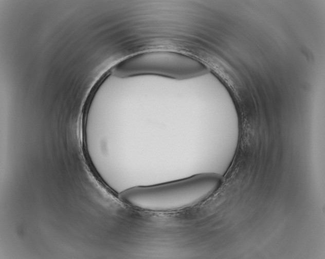 X0000110671084200907101101