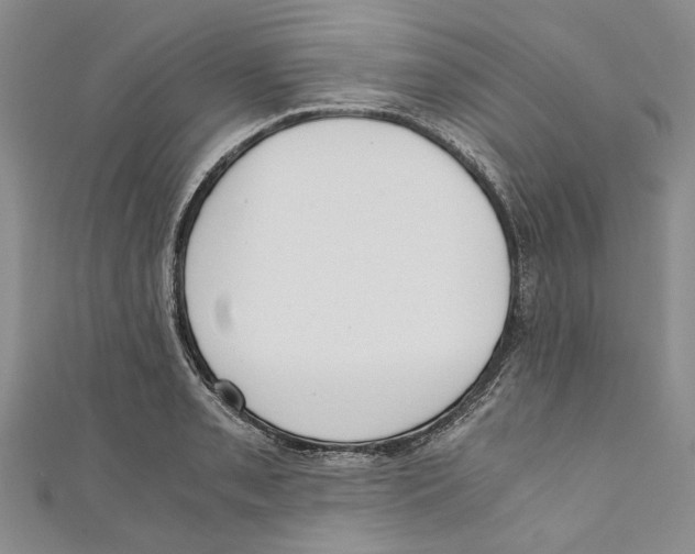 X0000110671085200907101101