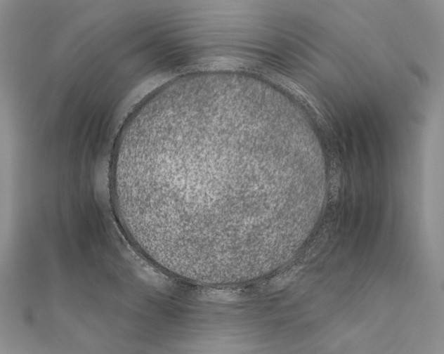 X0000110671086200907101101