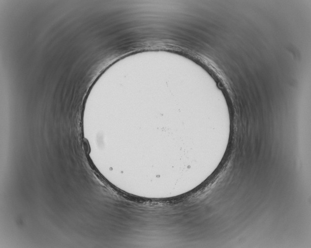X0000110671089200907101101