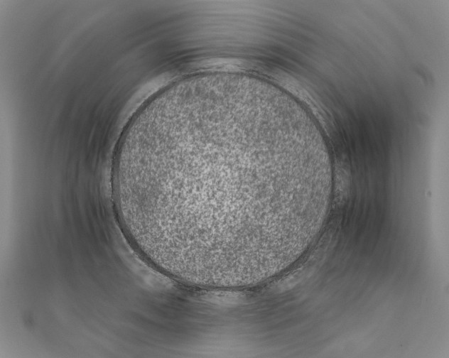 X0000110671090200907101101
