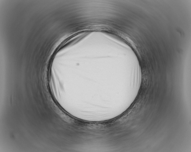 X0000110671091200907101101