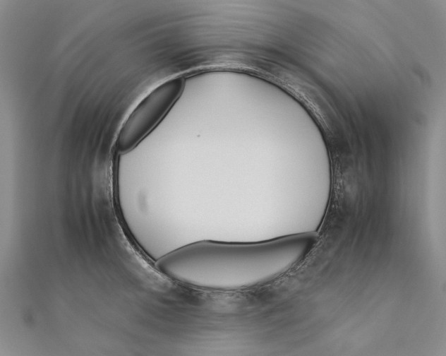 X0000110671092200907101101