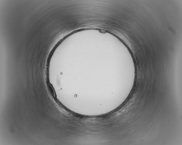 X0000110671093200907101101