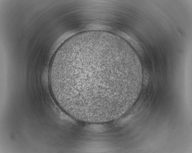X0000110671094200907101101